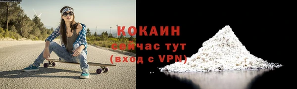 соль ск Кулебаки