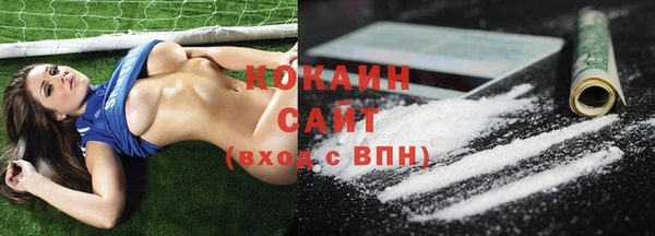 молекула духа Краснослободск